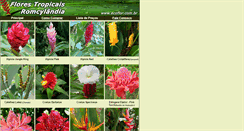 Desktop Screenshot of ecoflor.com.br