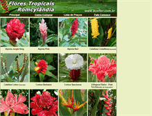 Tablet Screenshot of ecoflor.com.br